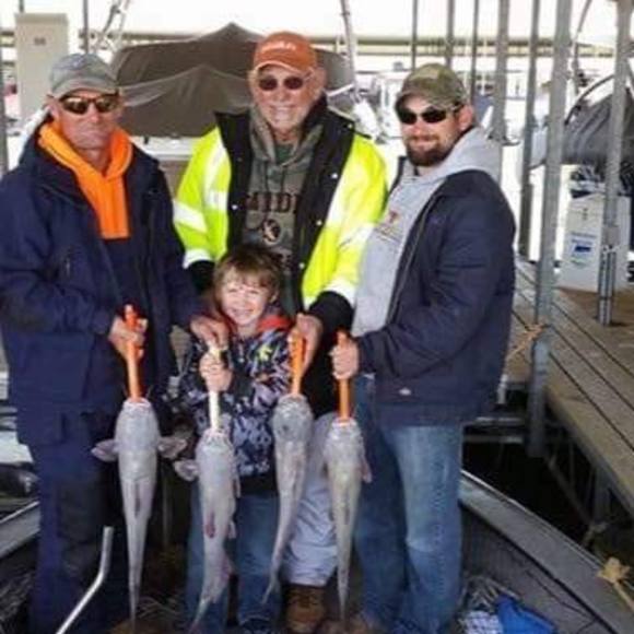 Meet your Posher, Daniel - Picture 1 of 1